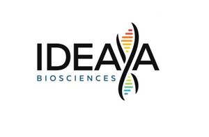 IDEAYA Biosciences Announces Successful FDA Type D Meeting on Phase 3 Registrational Trial Design for Darovasertib as Neoadjuvant Therapy for Primary Uveal Melanoma