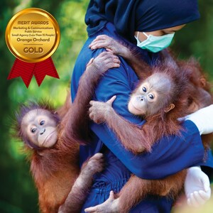 Orange Orchard earns top honors for Public Service Campaign in 2025 Merit Awards